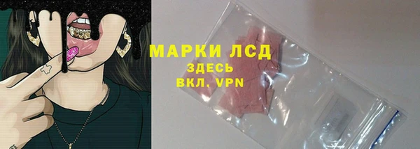ПСИЛОЦИБИНОВЫЕ ГРИБЫ Абаза