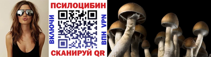 где купить наркоту  Кадников  Псилоцибиновые грибы прущие грибы 